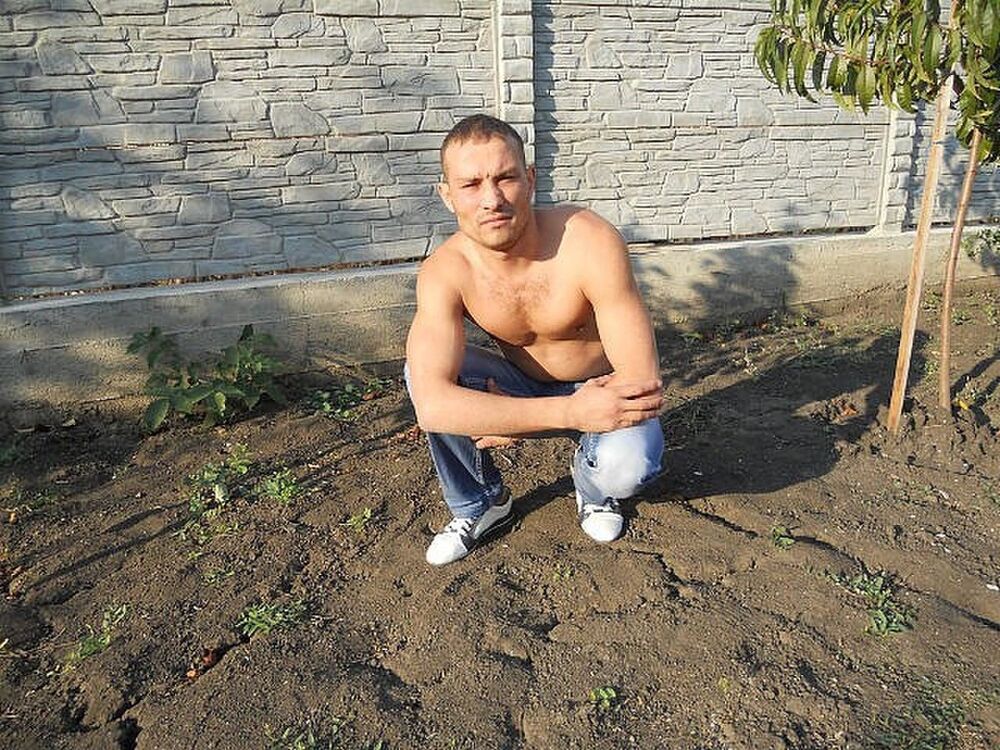 ���� 8806078 ������� ALEXEI 007, 37 ���, ���� ���������� � ��������