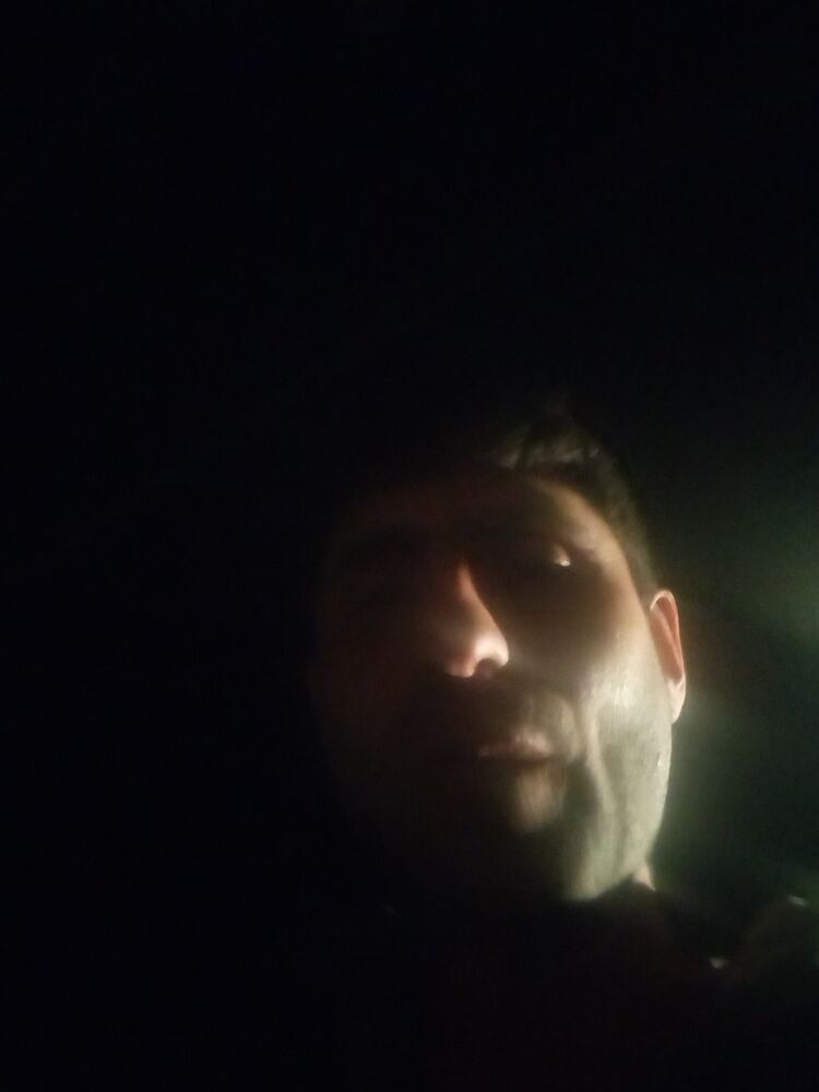  19566378  , 43 ,    