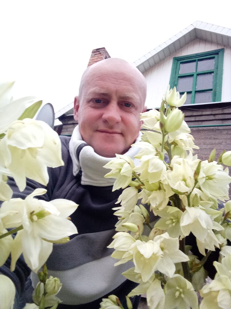 ���� 56052438 ������� ���������, 46 ���, ���� ���������� � ��������