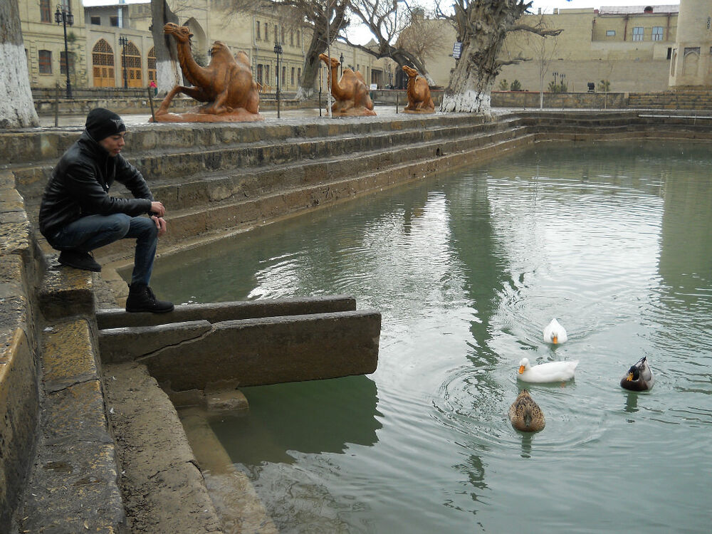 ���������� ������, ���� ������� Deni, 36 ���, ������������ ��� ����� � ���������, c�������� ���������