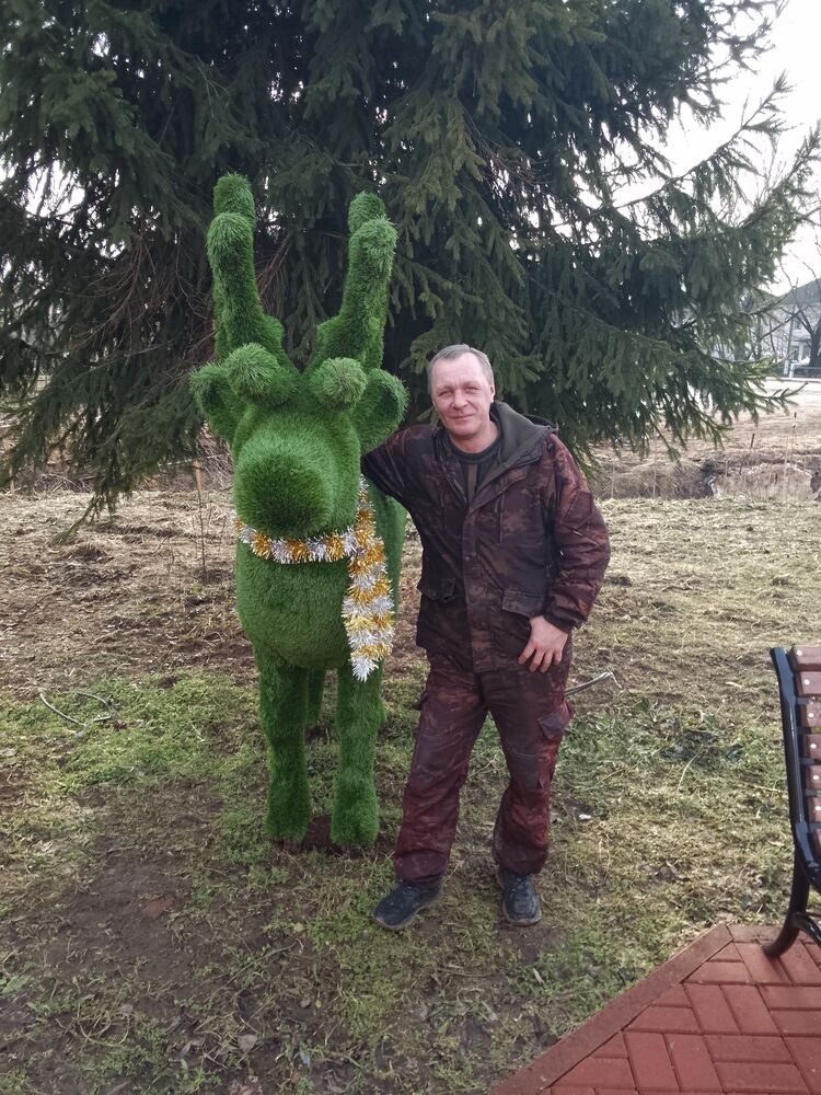 ���������� ������, ���� ������� �������, 48 ���, ������������ ��� ����� � ���������, c�������� ���������, ���������