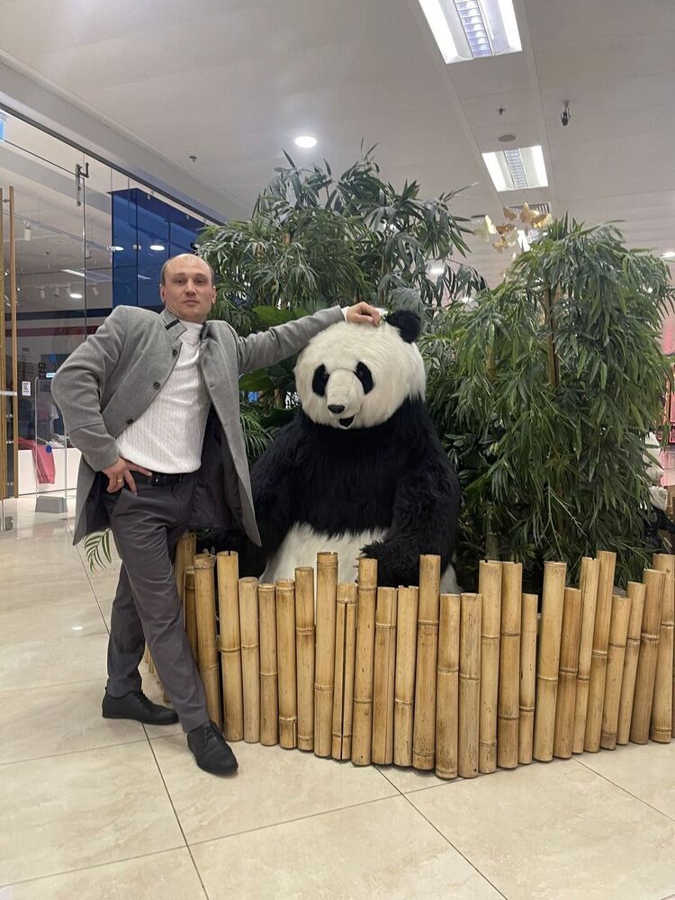 ���� 31575208 ������� ������, 36 ���, ���� ���������� � ������