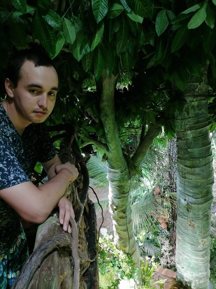 ���� 24341918 ������� ����, 32 ����, ���� ���������� � ����������