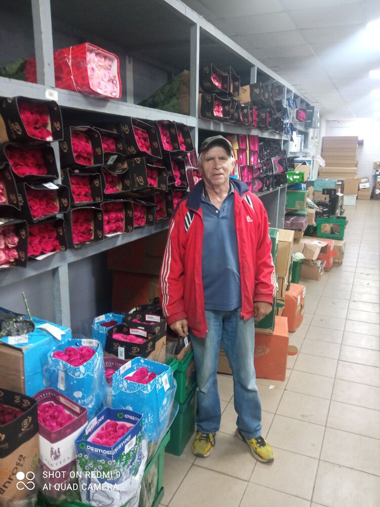  52977918  Oleg, 61 ,    