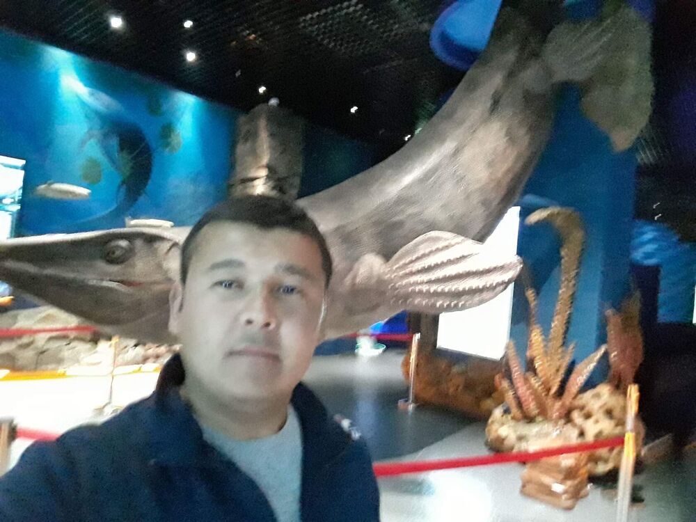 ���� 26000278 ������� �����, 34 ����, ���� ���������� � ����������