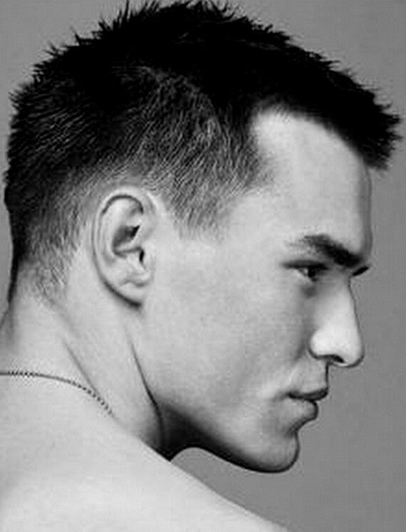 ���� 5023298 ������� Toxir, 35 ���, ���� ���������� � ��������