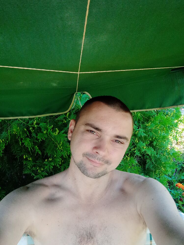  43163638  , 39 ,    -