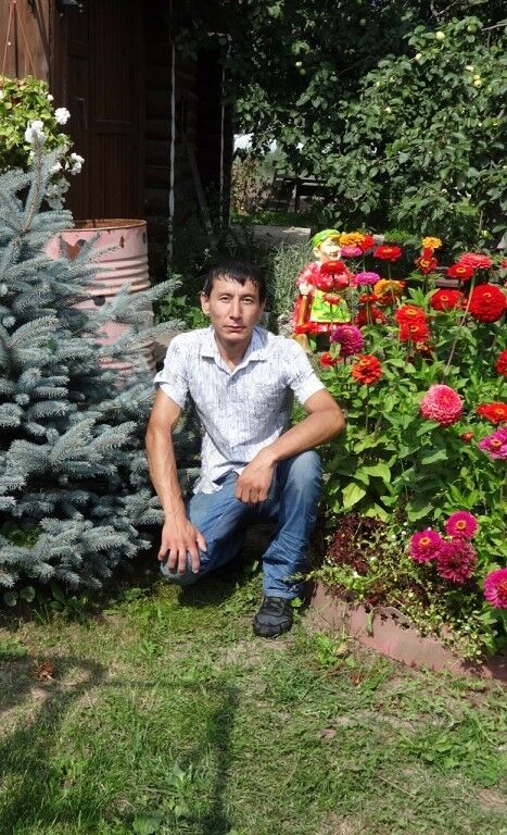 ���� 8398278 ������� ������, 41 ���, ���� ���������� � ������ ���������