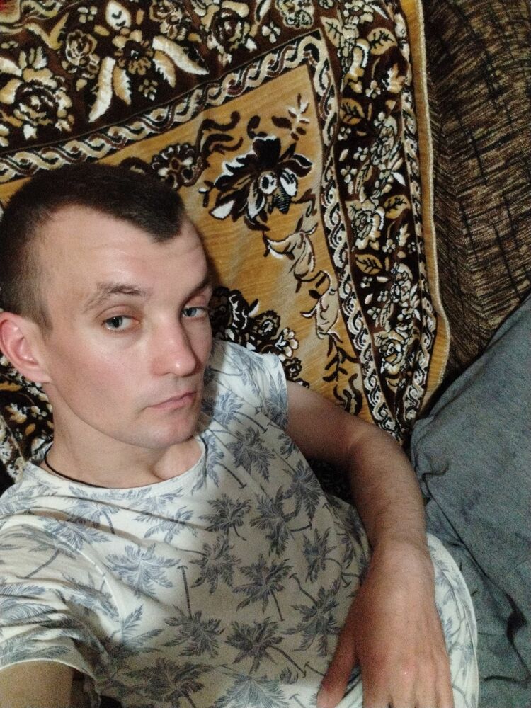  38561588  , 31 ,    