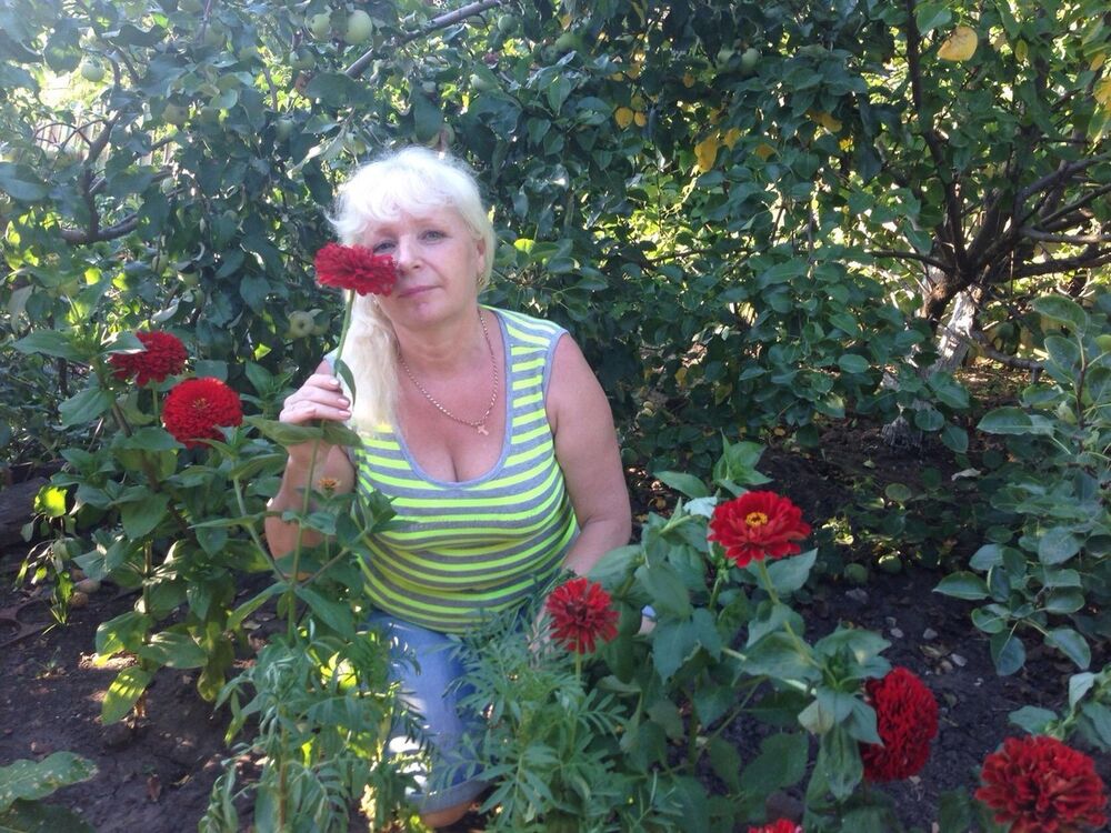 ,   , 61 ,  