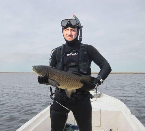 ���������� ����, ���� ������� ��������, 62 ����, ������������ ��� ������, ����� � ���������, c�������� ���������