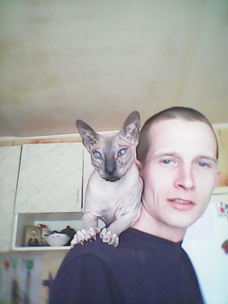 ���� 9938898 ������� �������, 35 ���, ���� ���������� � �����