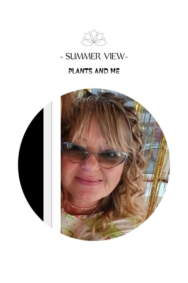 ���������� ������, ���� ������� ���, 56 ���, ������������ ��� c�������� ���������