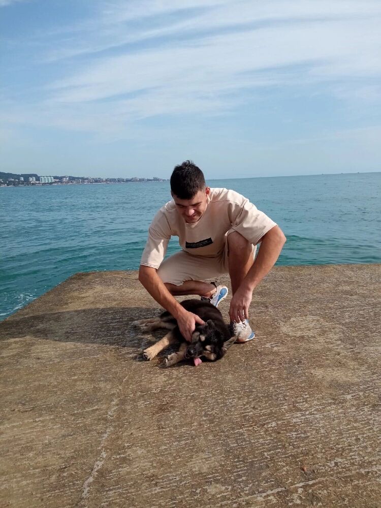 ���������� ������, ���� ����� �����, 25 ���, ������������ ��� ������, ����� � ���������, c�������� ���������, ���������