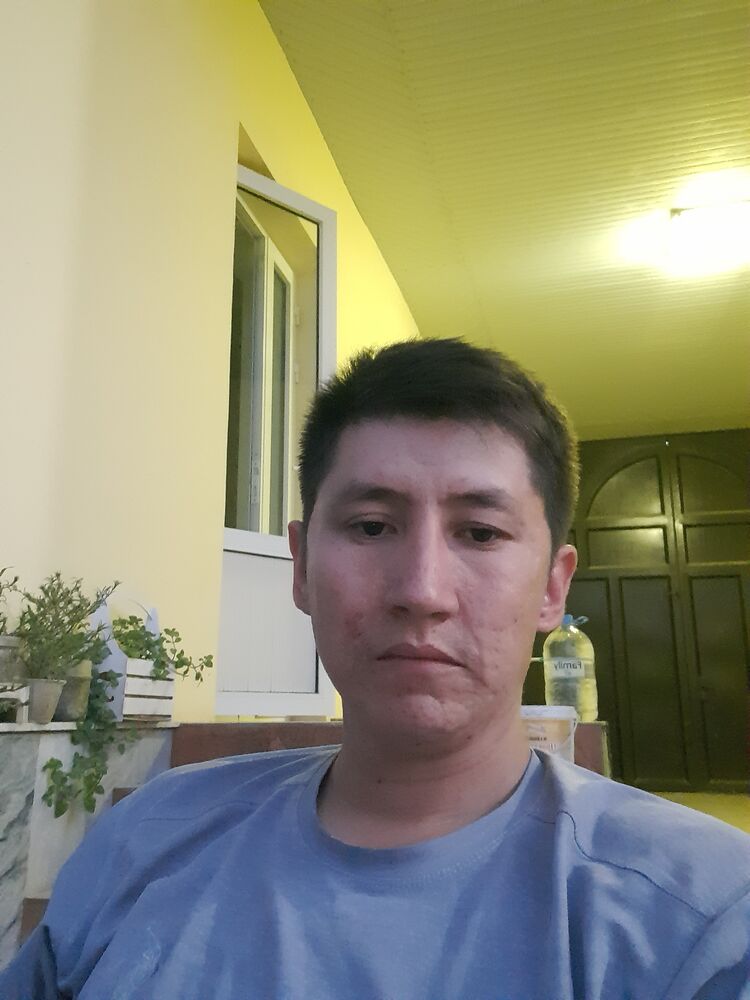  40777288  , 28 ,    