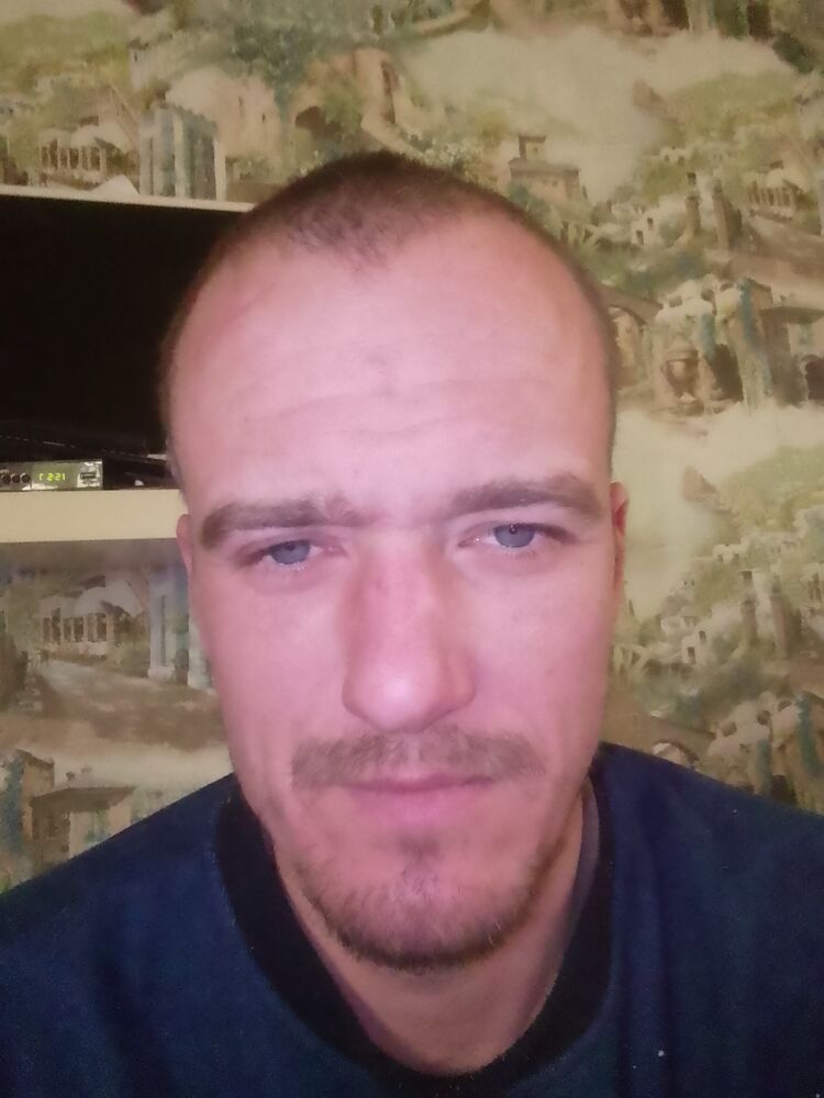 ���� 56004468 ������� �������, 38 ���, ���� ���������� � �����