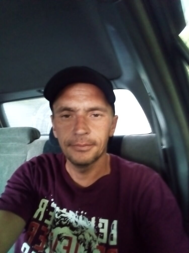  28388198  , 41 ,    