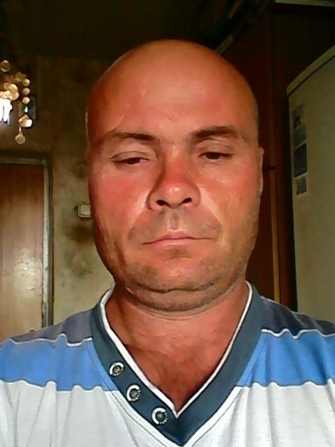  6404518  , 50 ,    