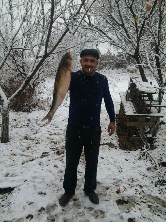  45383998  , 45 ,    