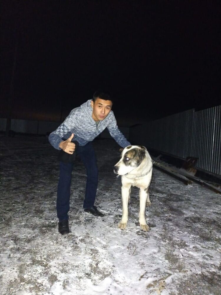 ���� 22120568 ������� �������, 38 ���, ���� ���������� � ������