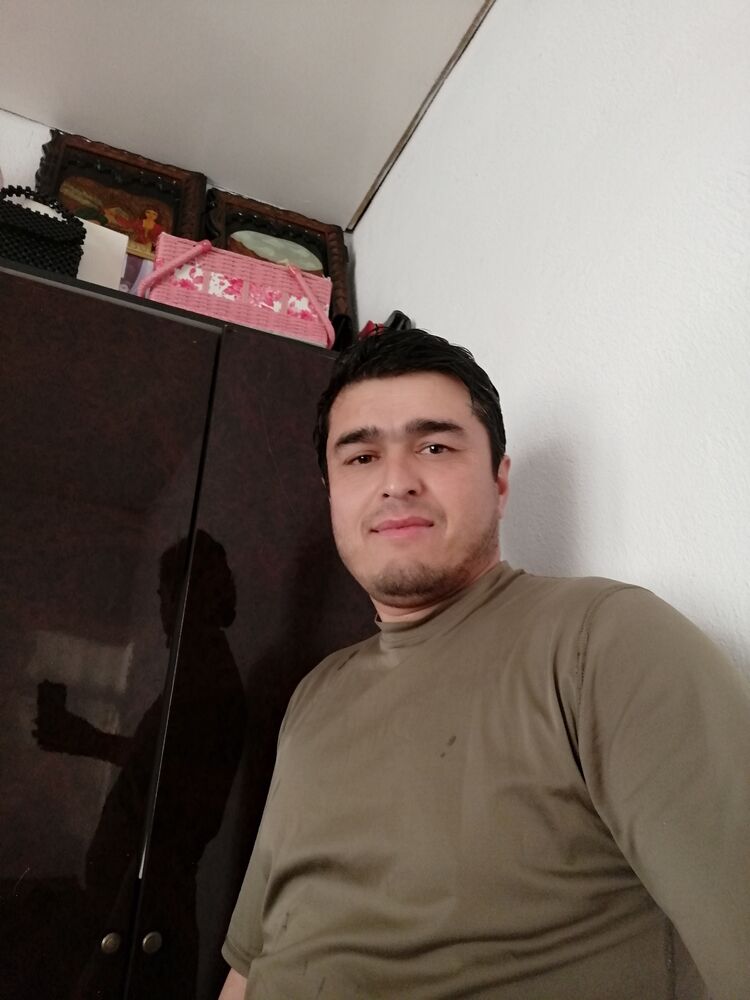  50508138  , 31 ,    