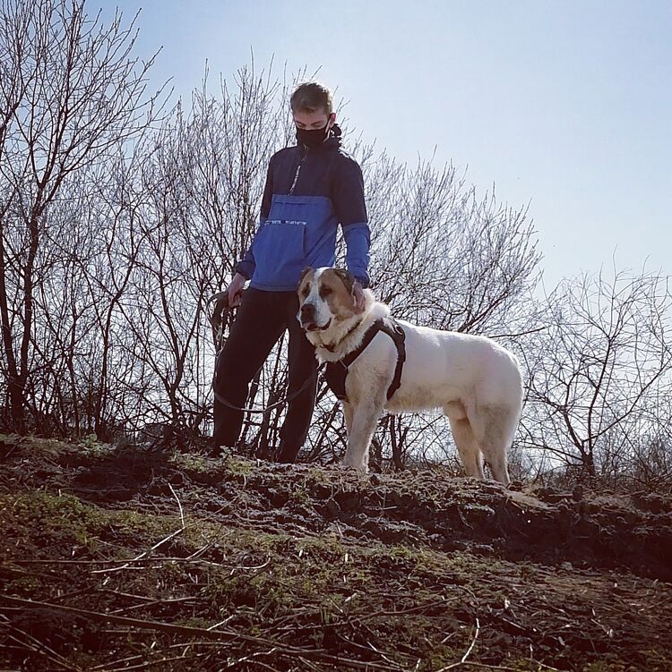 ���� 35055638 ������� Vladimir, 26 ���, ���� ���������� � ������