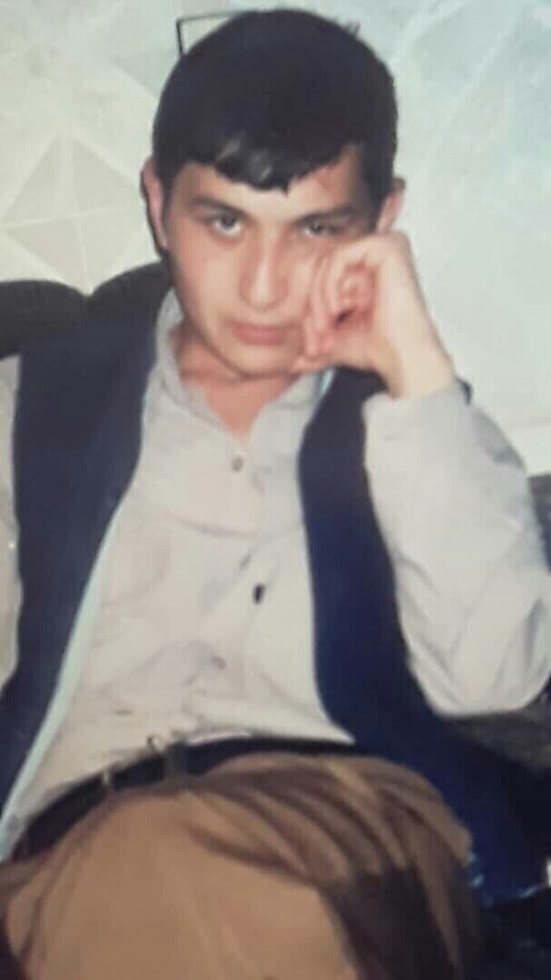  24289188  , 43 ,    -