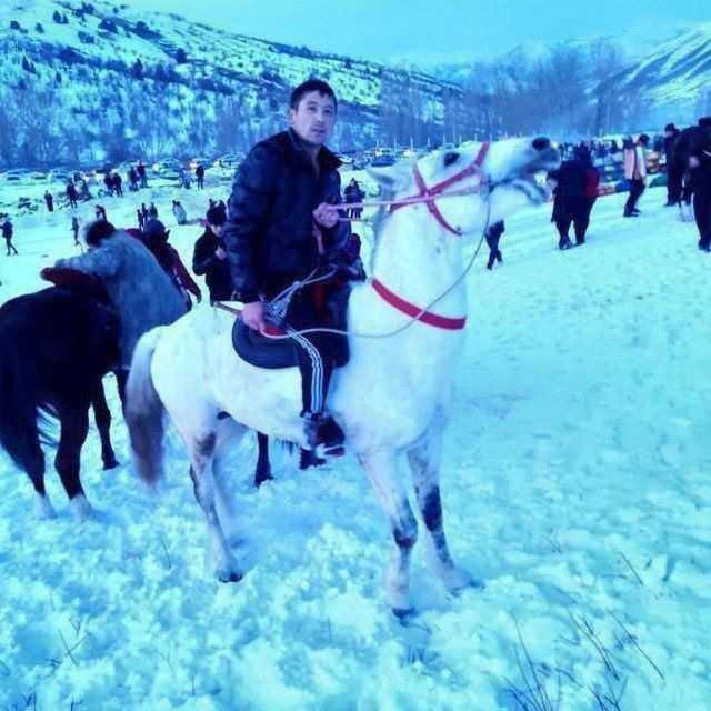 ���������� �������, ���� ������� �����, 29 ���, ������������ ��� ������, ����� � ���������