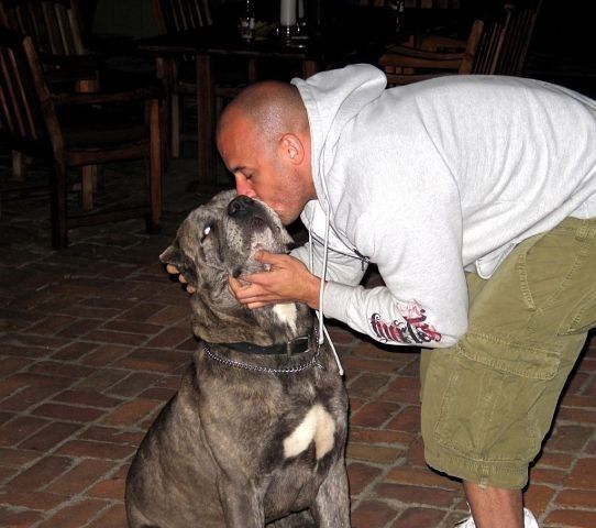 ���� 6641948 ������� Black, 36 ���, ���� ���������� � �������