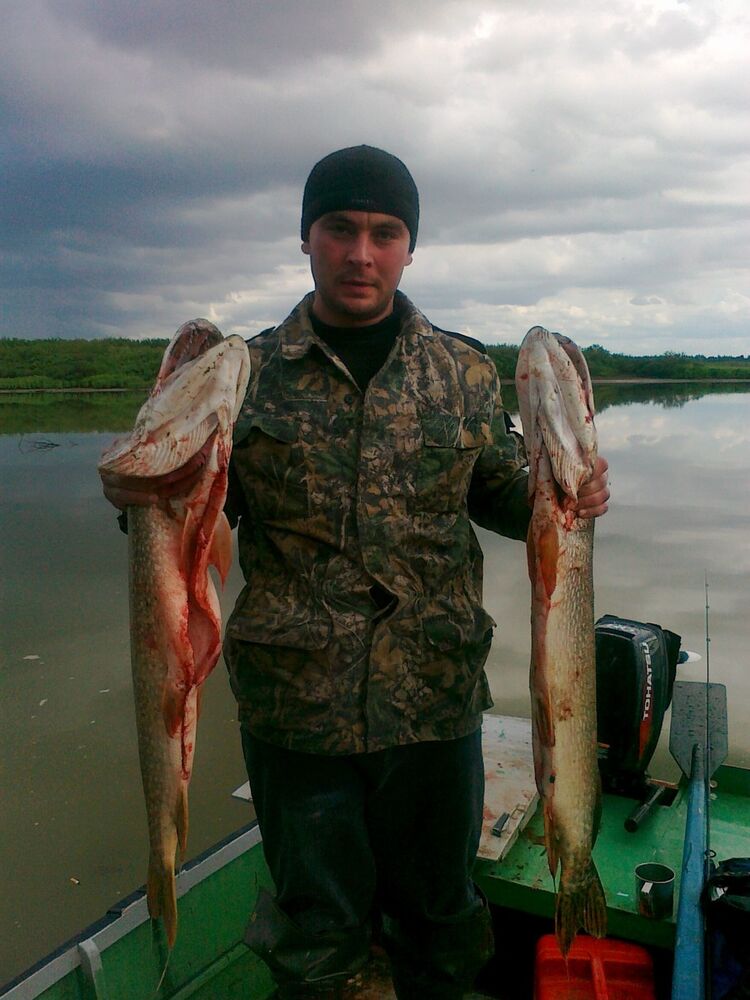 ���������� �����������, ���� ������� ���������, 46 ���, ������������ ��� ������, ����� � ���������, c�������� ���������