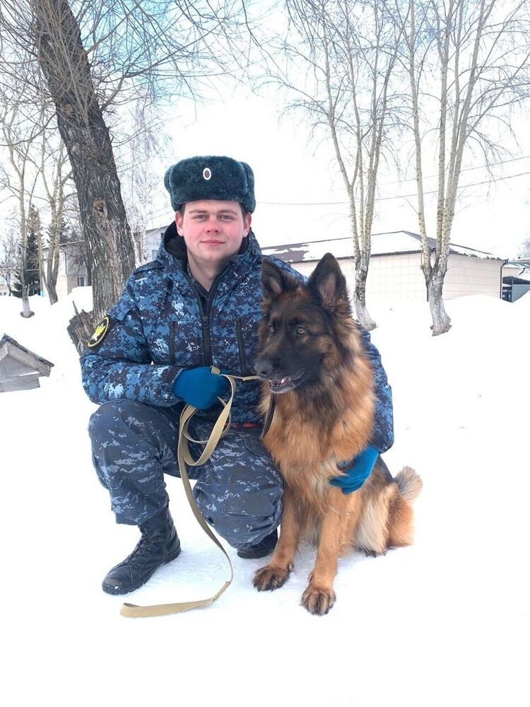  37620178  , 26 ,    -