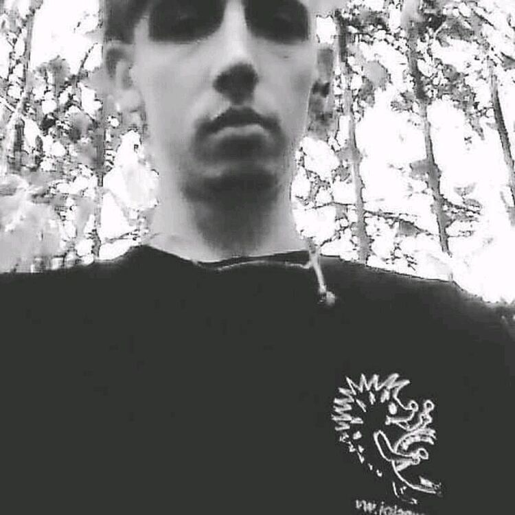  14304528  , 29 ,    