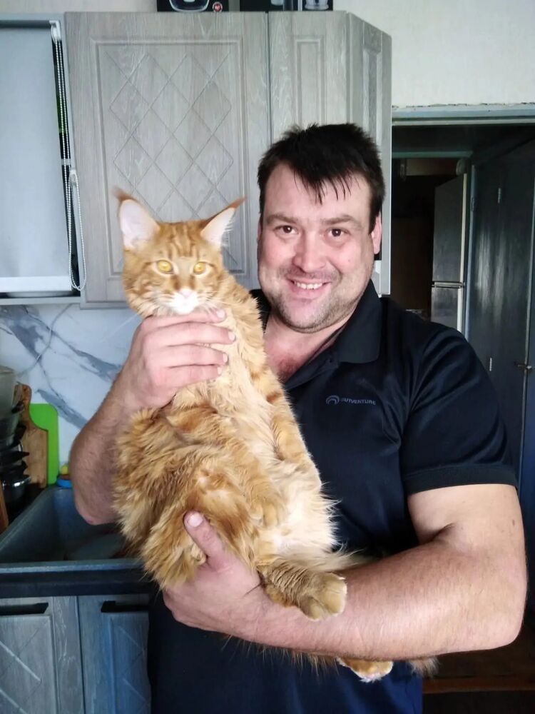 ���� 55707418 ������� �����, 44 ����, ���� ���������� � �����-����������