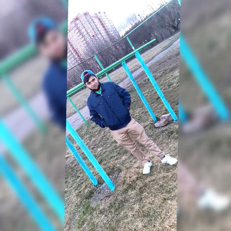  29524168  , 31 ,    