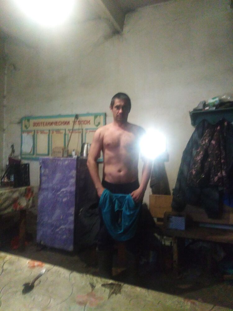  33704678  , 39 ,    