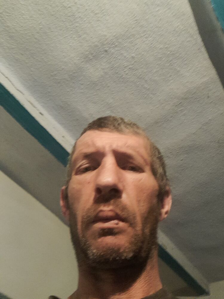  50763208  Serjiu, 43 ,    