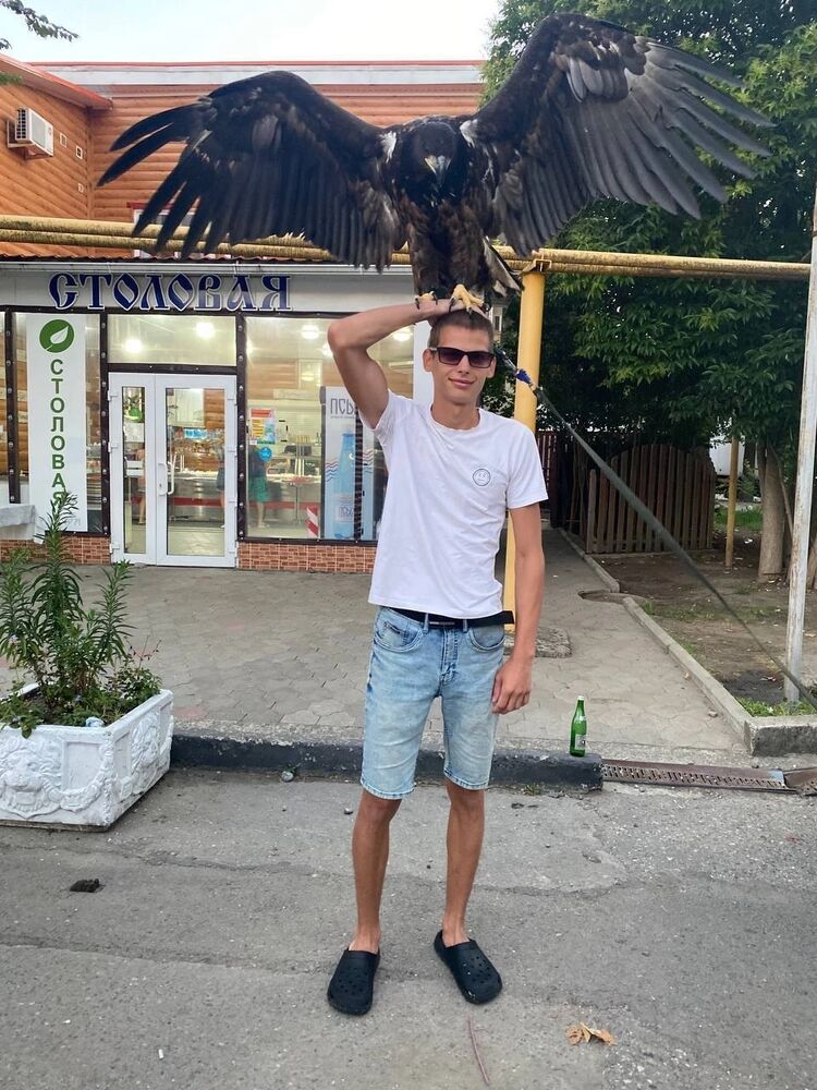  53053528  , 22 ,    --