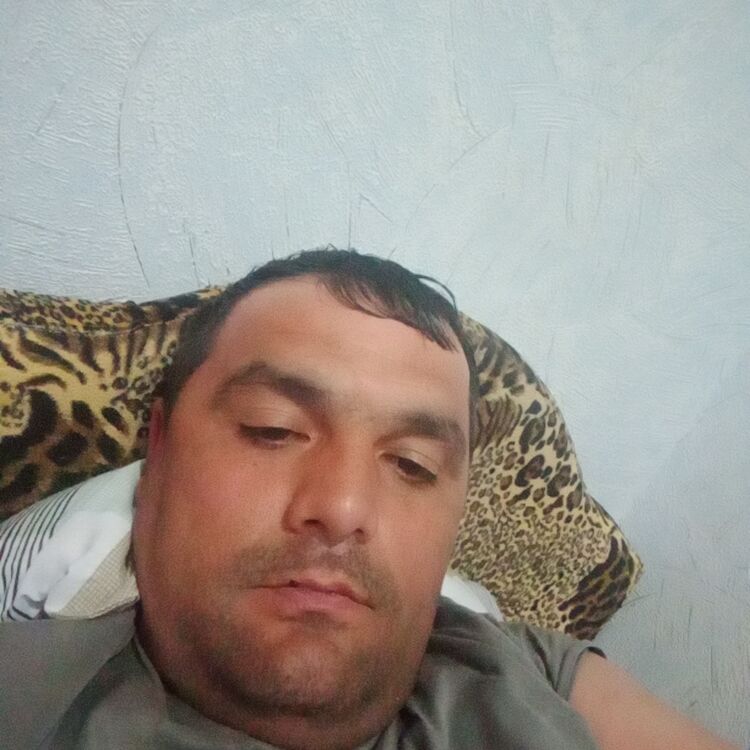 ���������� ��������, ���� ������� ������, 38 ���, ������������ ��� ������, ����� � ���������