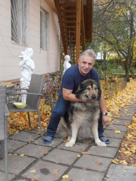 ���� 8773108 ������� �����, 64 ����, ���� ���������� � ������