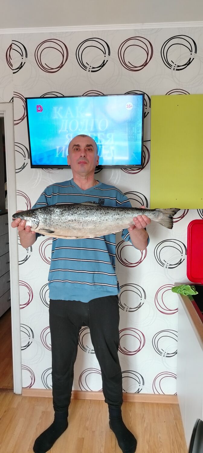 ���� 52149908 ������� ����, 50 ���, ���� ���������� � �����������