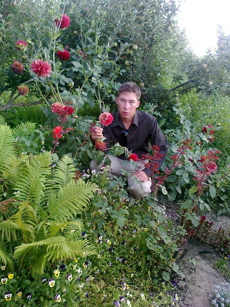 ���������� ������, ���� ������� ���, 35 ���, ������������ ��� ������, ����� � ���������, c�������� ���������