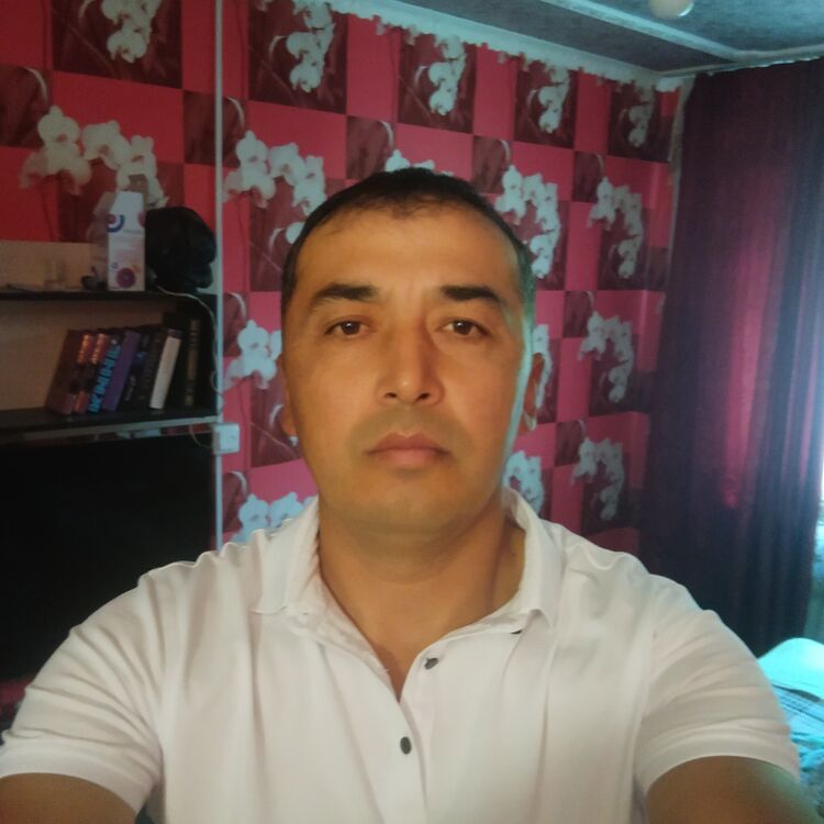  38173428  , 47 ,    