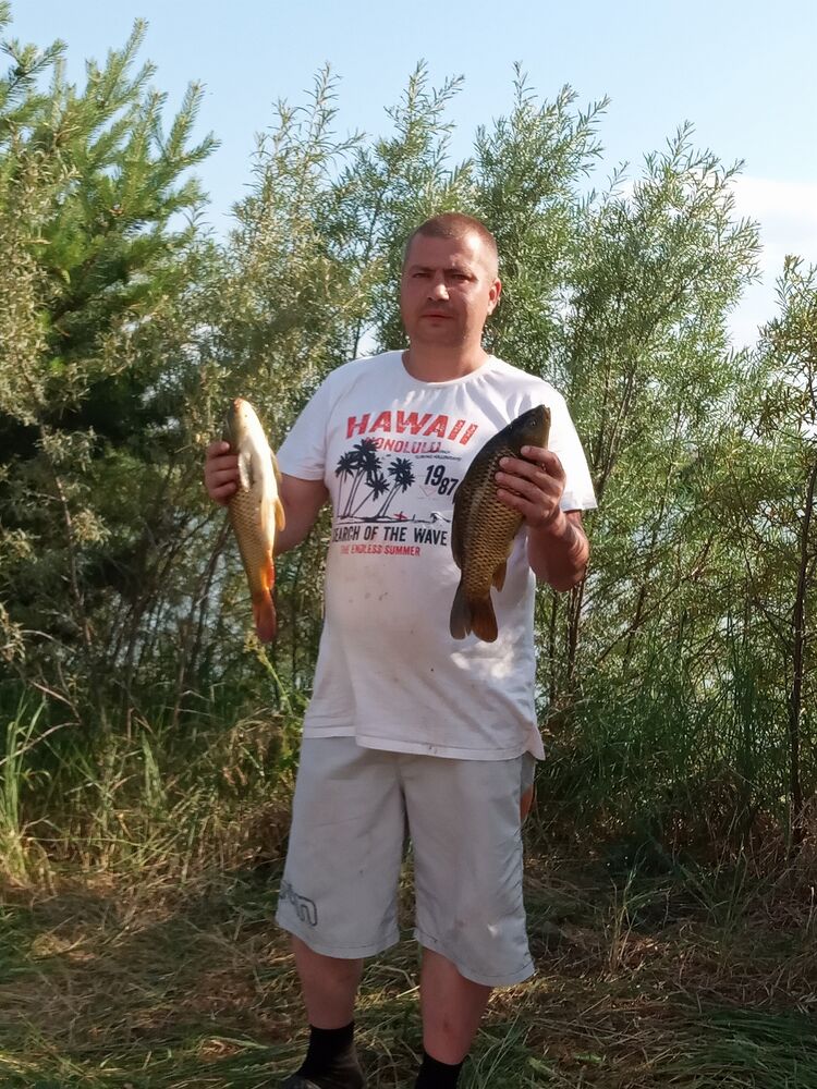 ���������� �������, ���� ������� �������, 39 ���, ������������ ��� ������, ����� � ���������, c�������� ���������, ���������