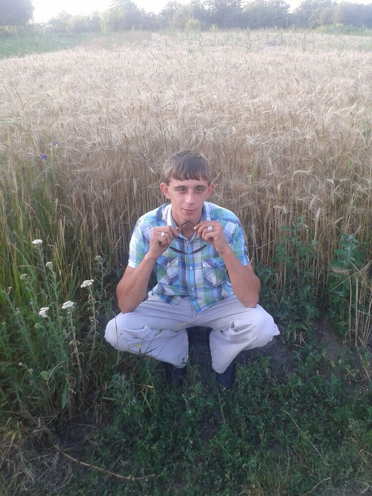  33816518  , 34 ,    