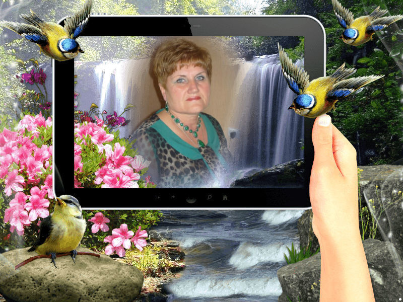  ,   , 65 ,  