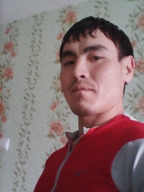  8589538  , 36 ,    
