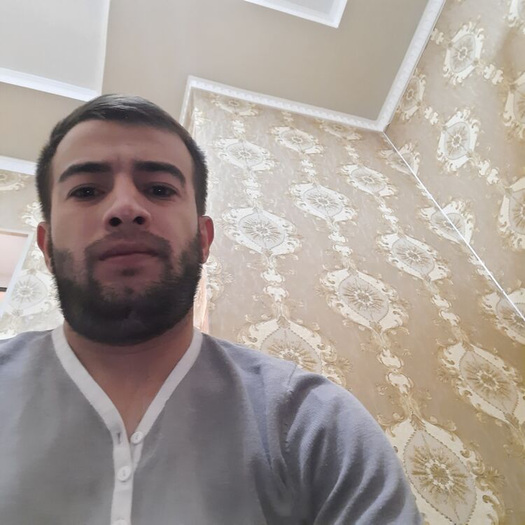 ���� 53345468 ������� Anvar, 30 ���, ���� ���������� � �������