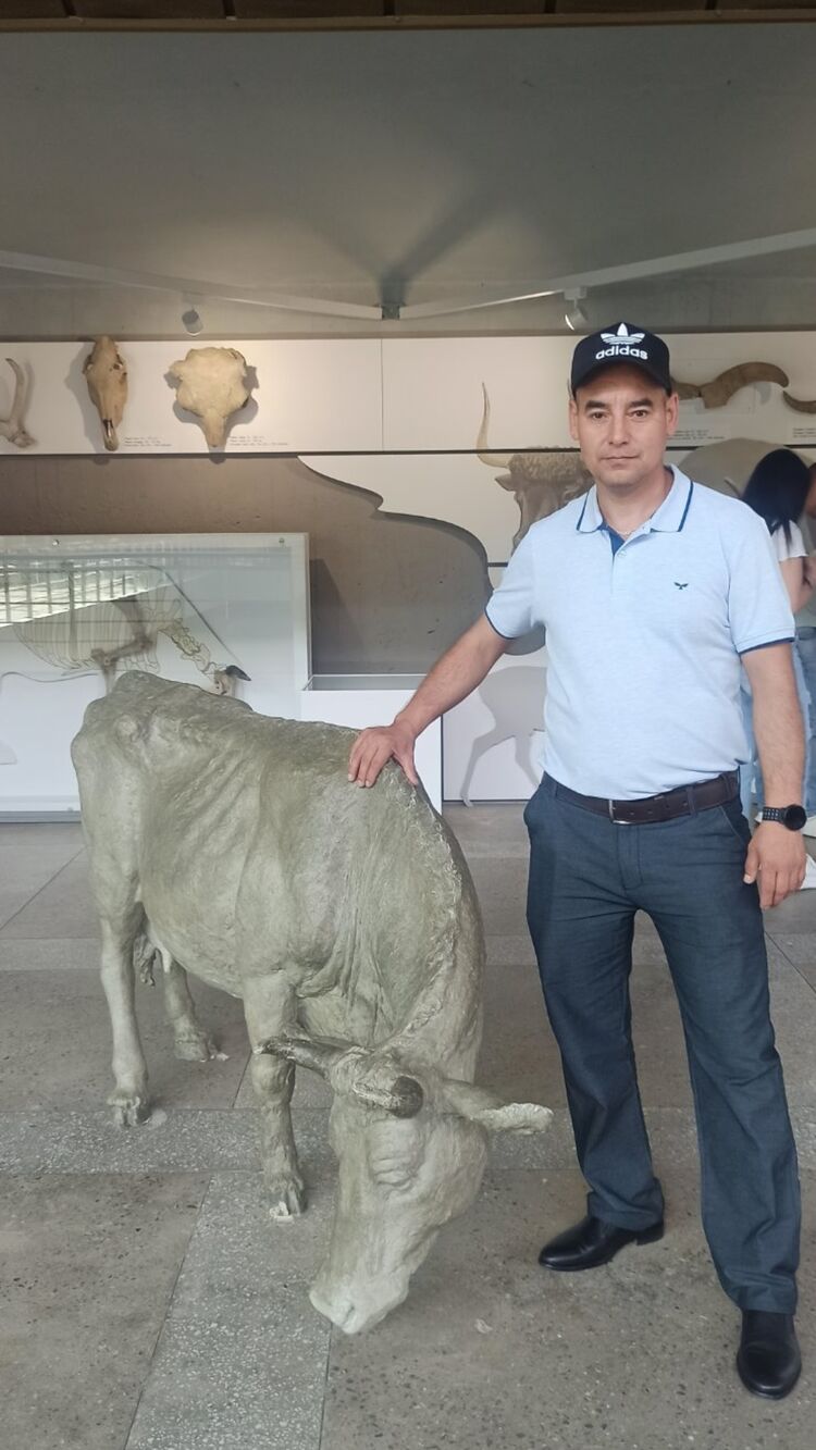 ���� 27276678 ������� �����, 45 ���, ���� ���������� � ������