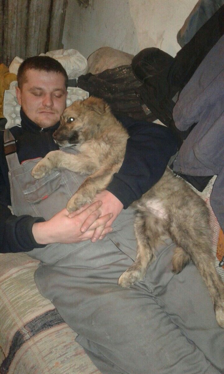 ���� 11309228 ������� ����, 38 ���, ���� ���������� � ��������