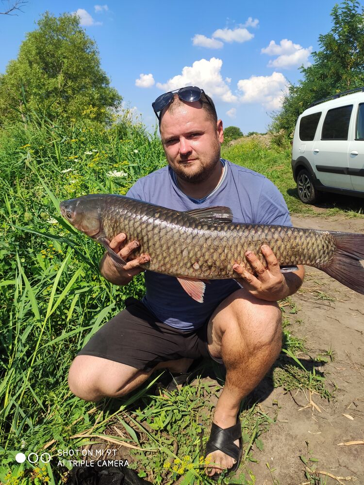 ���������� ��������, ���� ������� ������, 41 ���, ������������ ��� ������, ����� � ���������, c�������� ���������